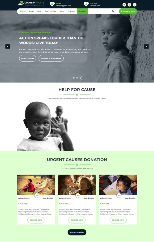 Charity Fundraiser WordPress Theme