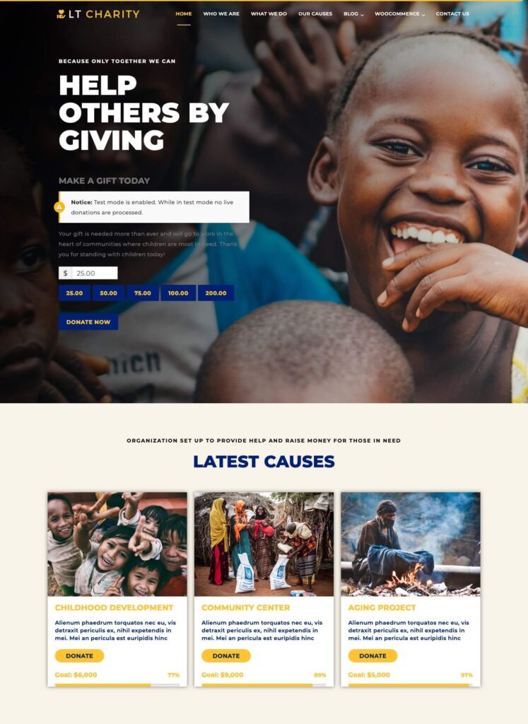 LT Charity WordPress Theme