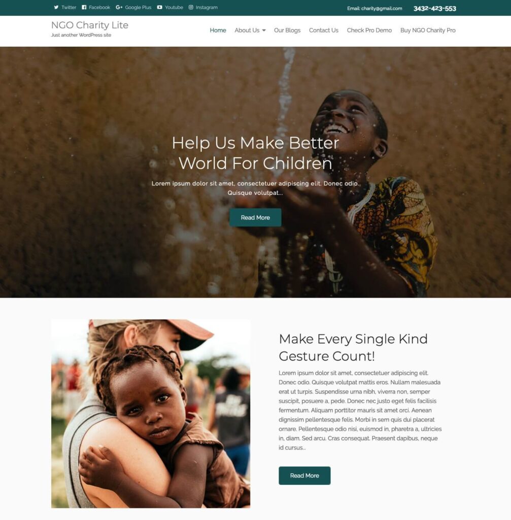 NGO Charity Lite WordPress Theme