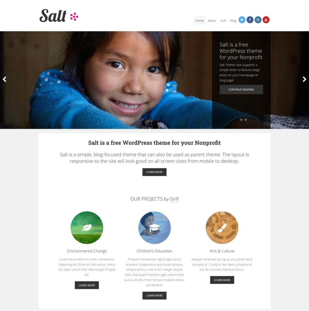 Salt WordPress Theme