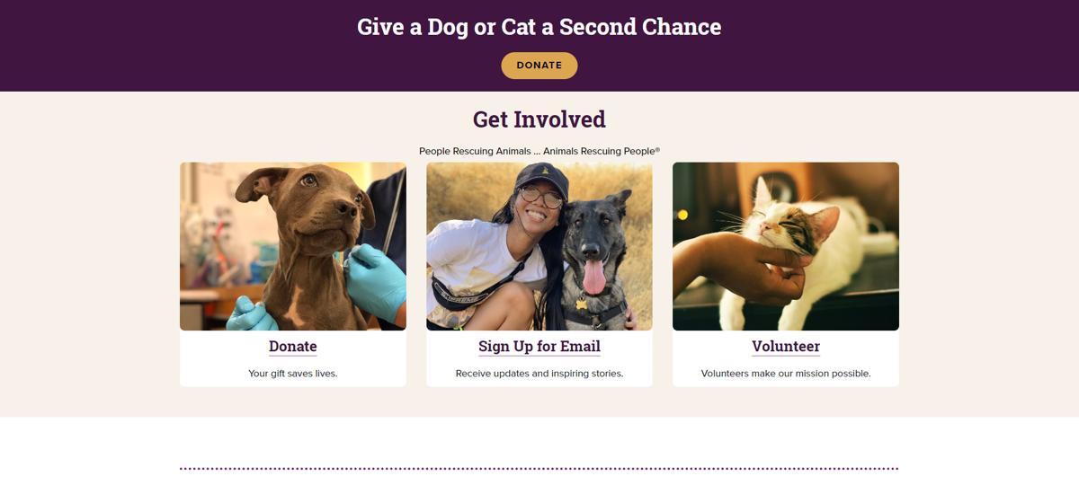 Animal Rescue and Adoption Websites