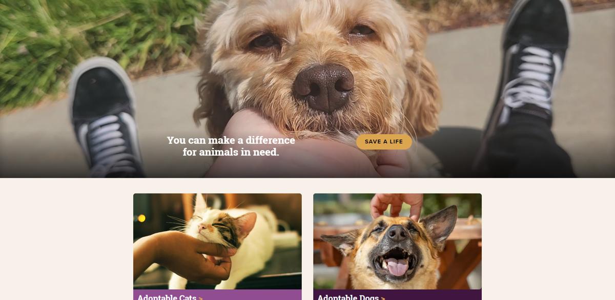 Animal Rescue Website