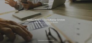 aeolus-global business consultants