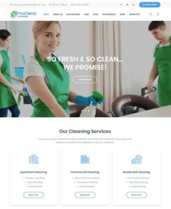 Cleaning Comany Local SEO Website Design